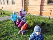 Výsadba u MŠ 2015 - sponzorováno firmou PAJR s.r.o.Vlkava